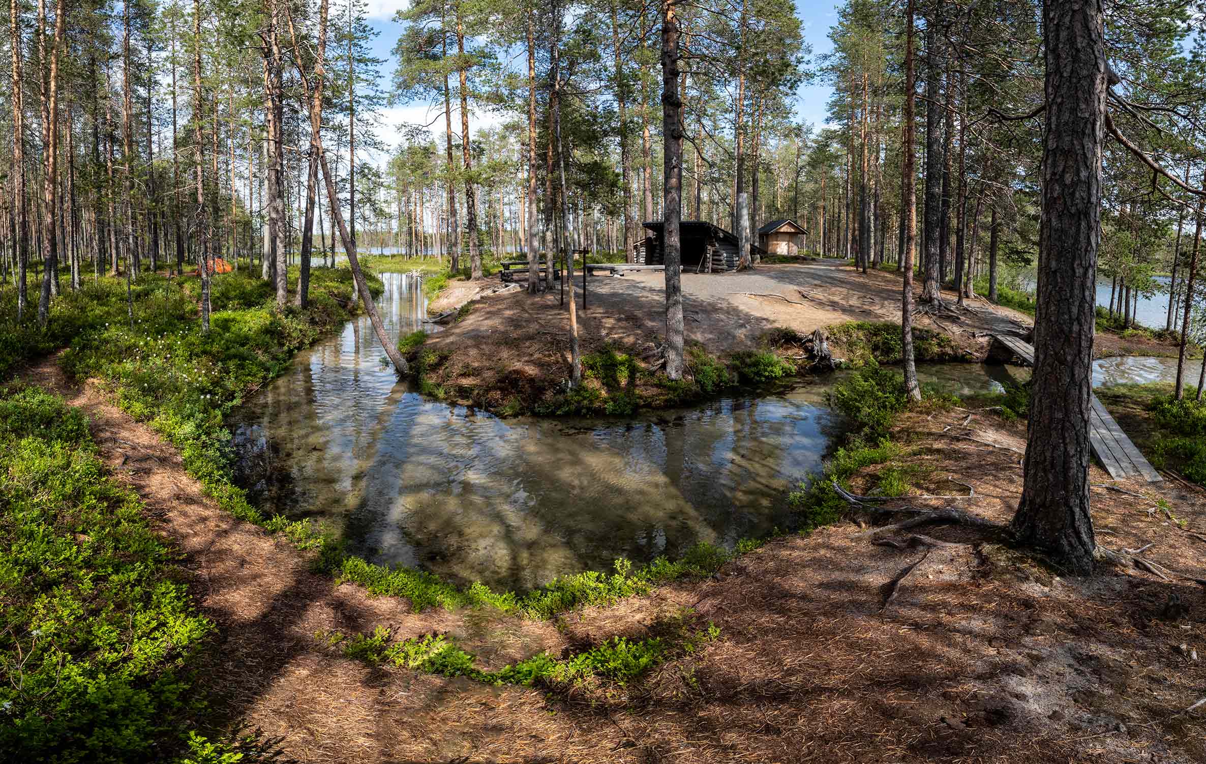 Yllätyksiä Hossan kansallispuistossa - Kotona ikimetsässä -retkiblogi